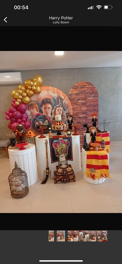 Festa Harry Potter