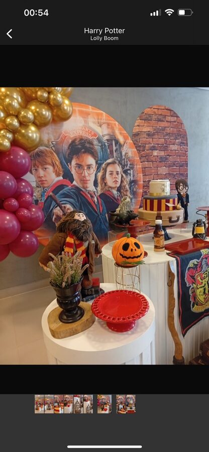 Festa Harry Potter - detalhes